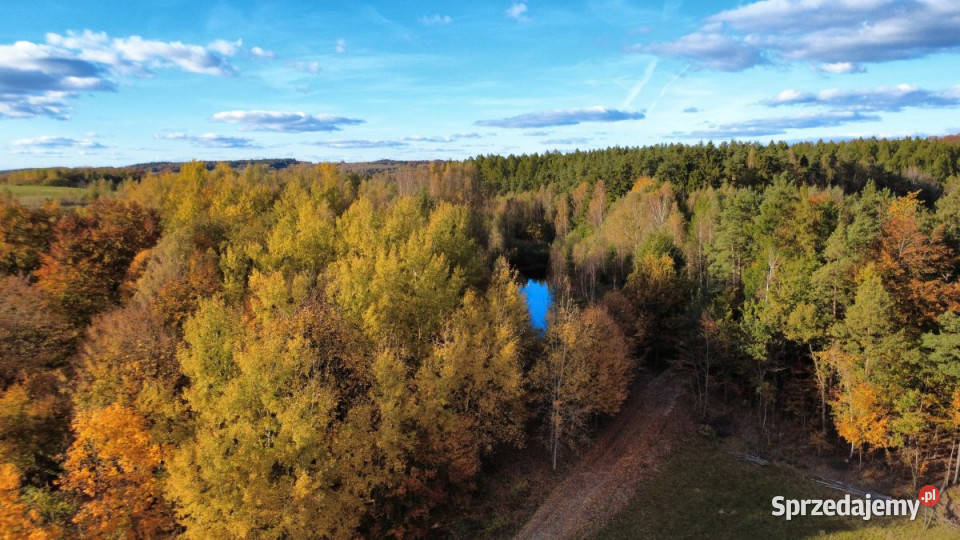 Działka 3000m2 Gromadzin