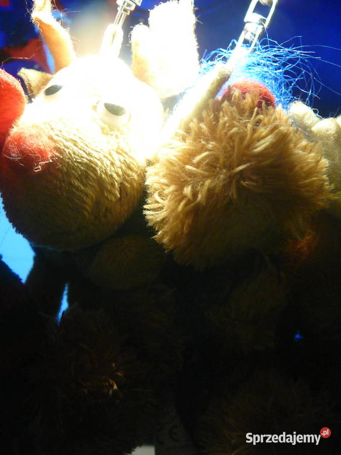 zestaw reniferów 5 brelok zawieszka Wrocław