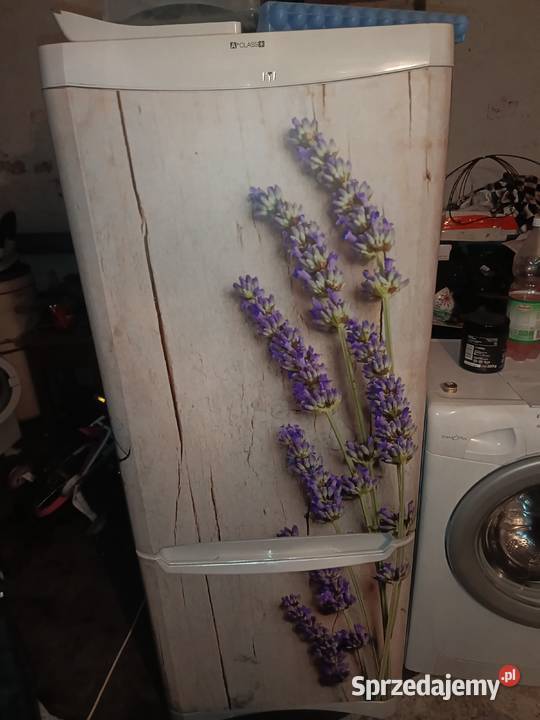 Lodówka Indesit BAN 10 z Zamrażalnikiem 100 60cm Kędzierzyn-Koźle