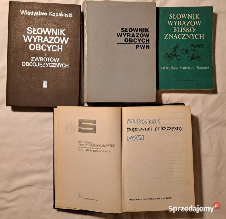 Słowniki j polskiego wyrazów obcych itp zestaw Brzesko