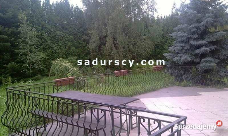 Dom wolnostojący Piaseczno 440m2 1700m2 Nieruchomości