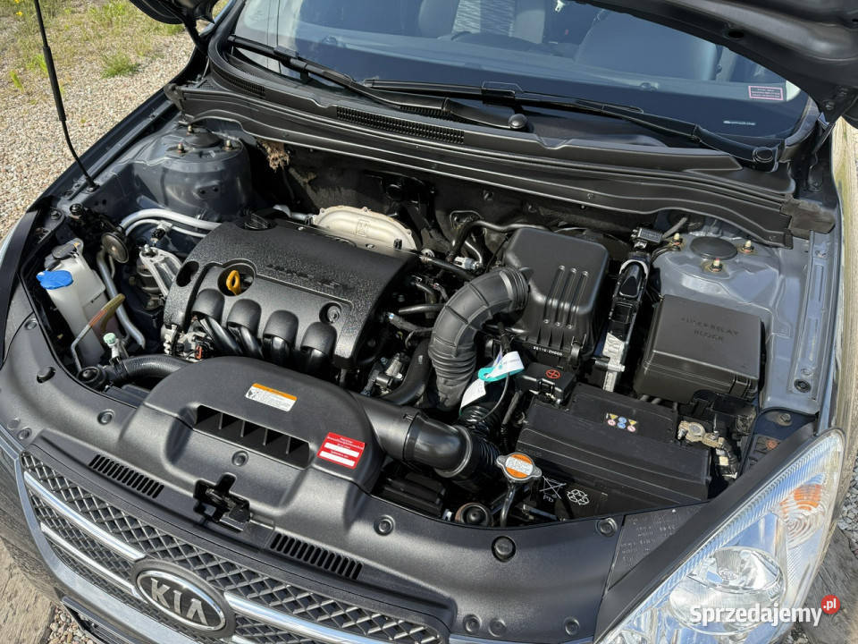 Kia Ceed nowy rozrządsuper stanz Niemiec I Samochody osobowe Dąbrowa