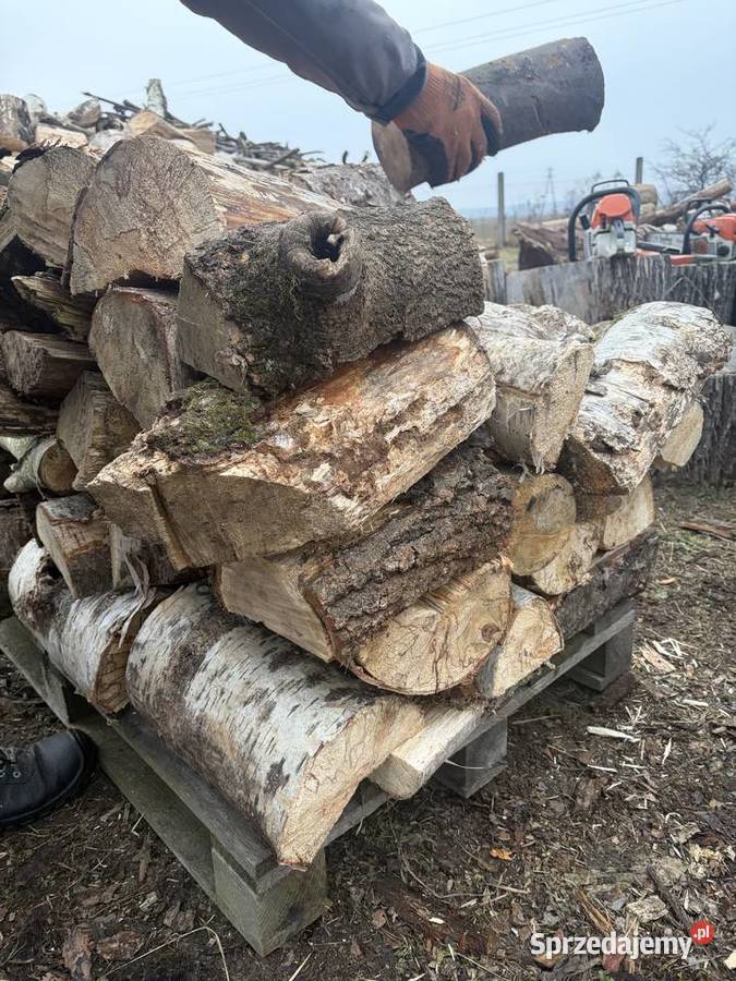Sprzedam drewno gałęziówkakominkowe dolnośląskie Żmigród