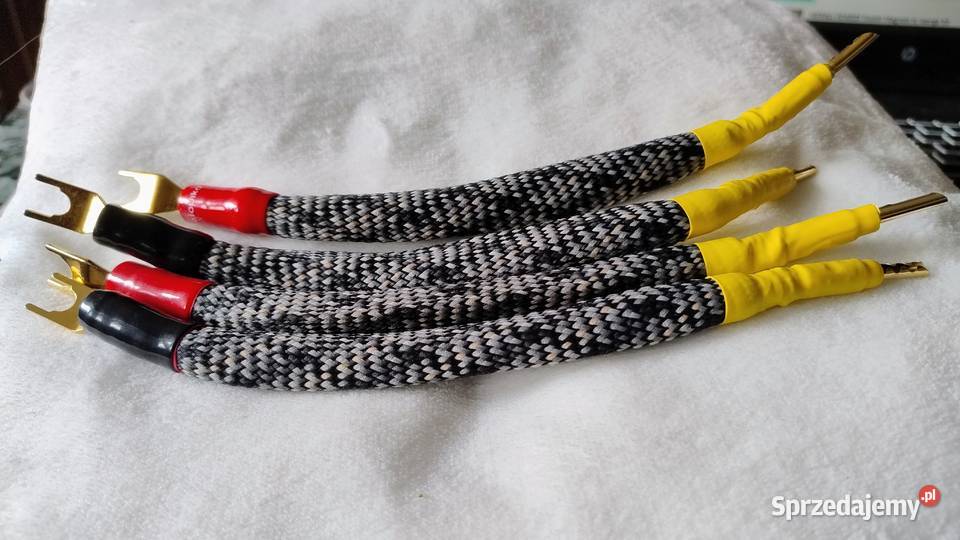 Mogami 2407 Para zworek śląskie Pszczyna