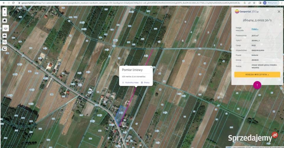 Duża działka 147 ha Szyszczyce gmina Chmielnik