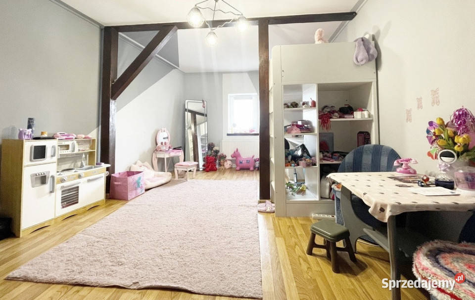 Duże mieszkanie w Kamienicy z loggią