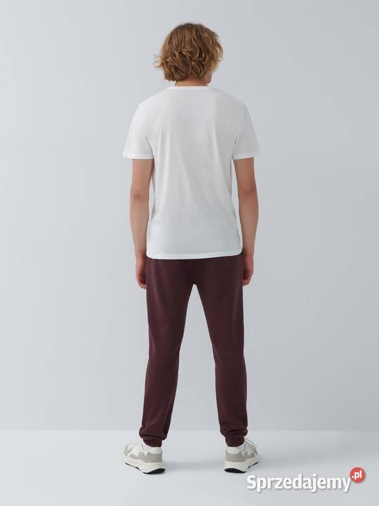 tshirt męski z nadrukiem House Olkusz