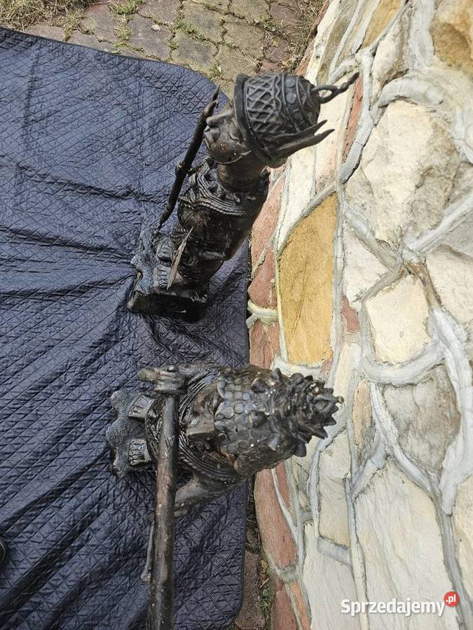 Wojownicy afrykanscy sprzedam