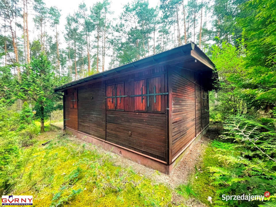 Do sprzedaży grunt Włodzimierzów 50m2