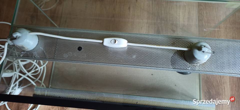 Terrarium pupila Terrarystyka Częstochowa