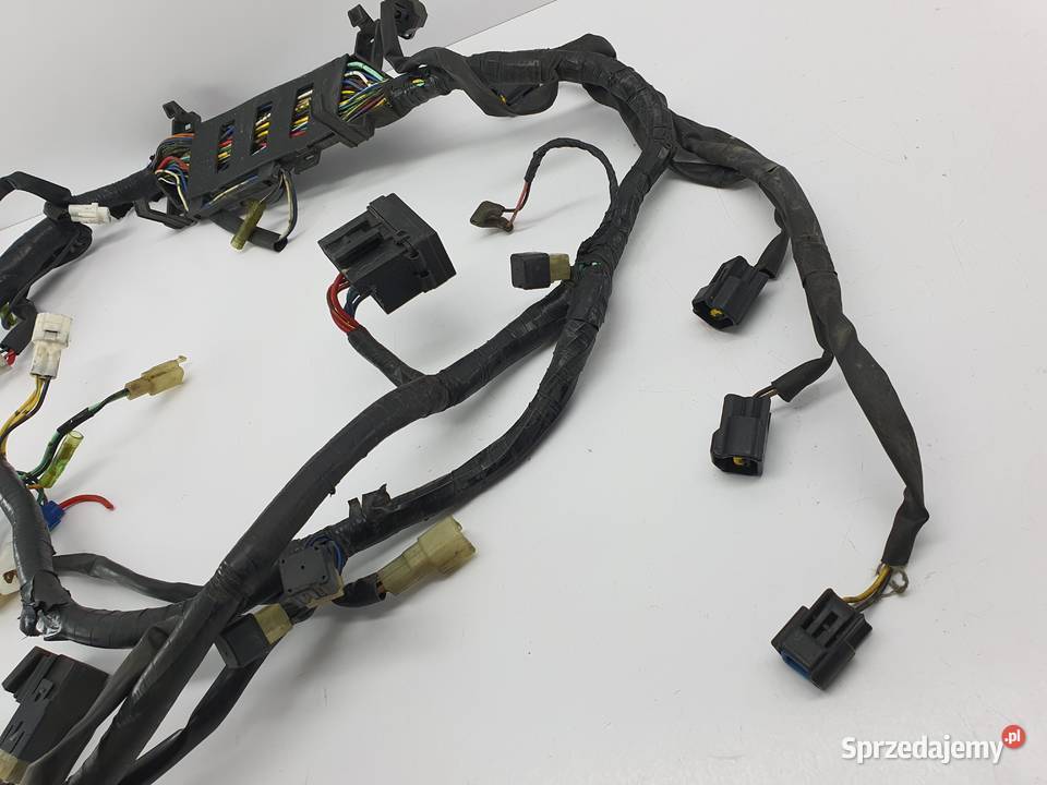 Wiazka Instalacja Yamaha Rx1 Warrior Mountain Łódź