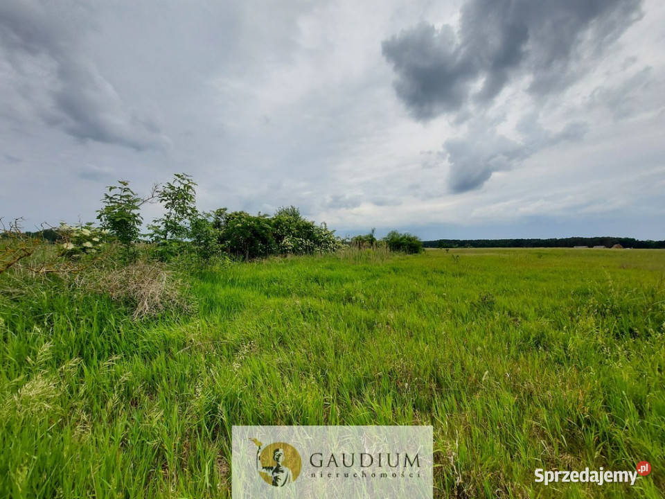 Malownicze działki brzegiem rzekiZielona Góra lubuskie Karszyn sprzedam