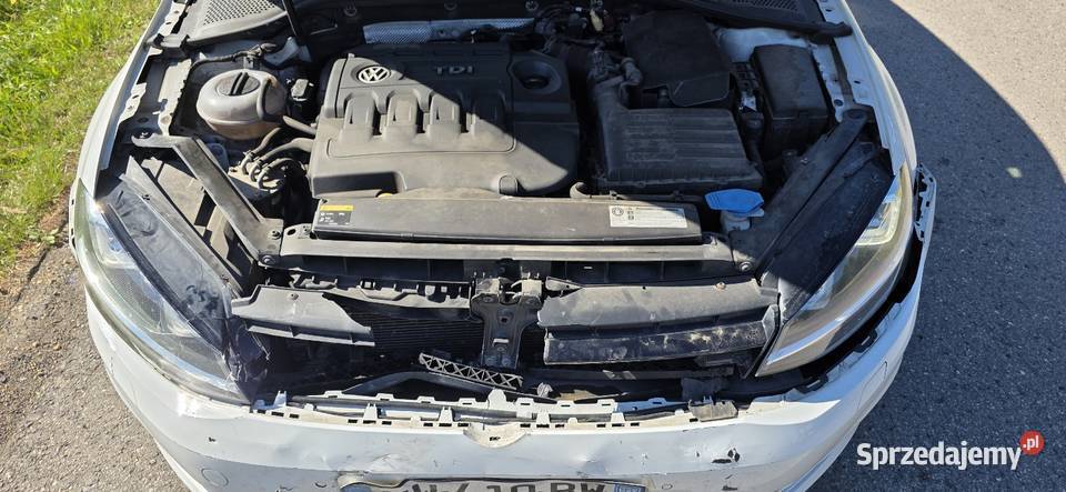 Volkswagen Golf VII 16 TDI biały Stanisław Górny