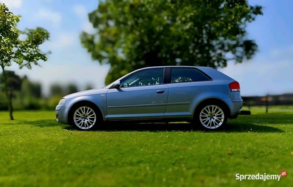 Audi A3 Typ 8P Ambition Lubartów