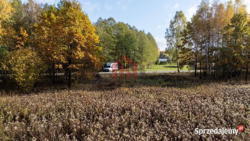 Grunt 9100m2 Kamionka 67m podkarpackie