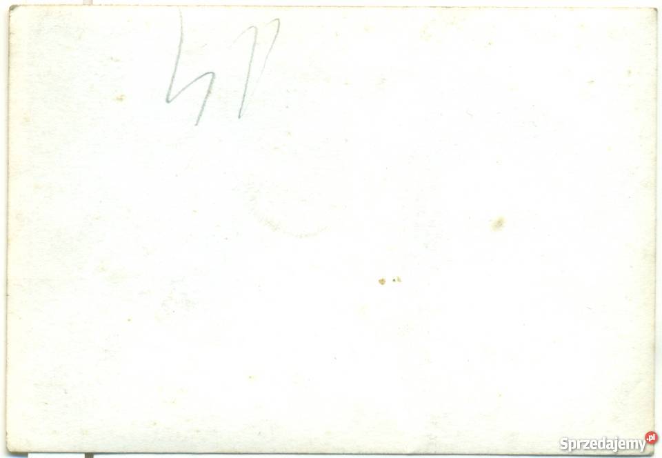 Stare zdjęcie koń pies chłopiec dziecko szopa Ostrów Wielkopolski