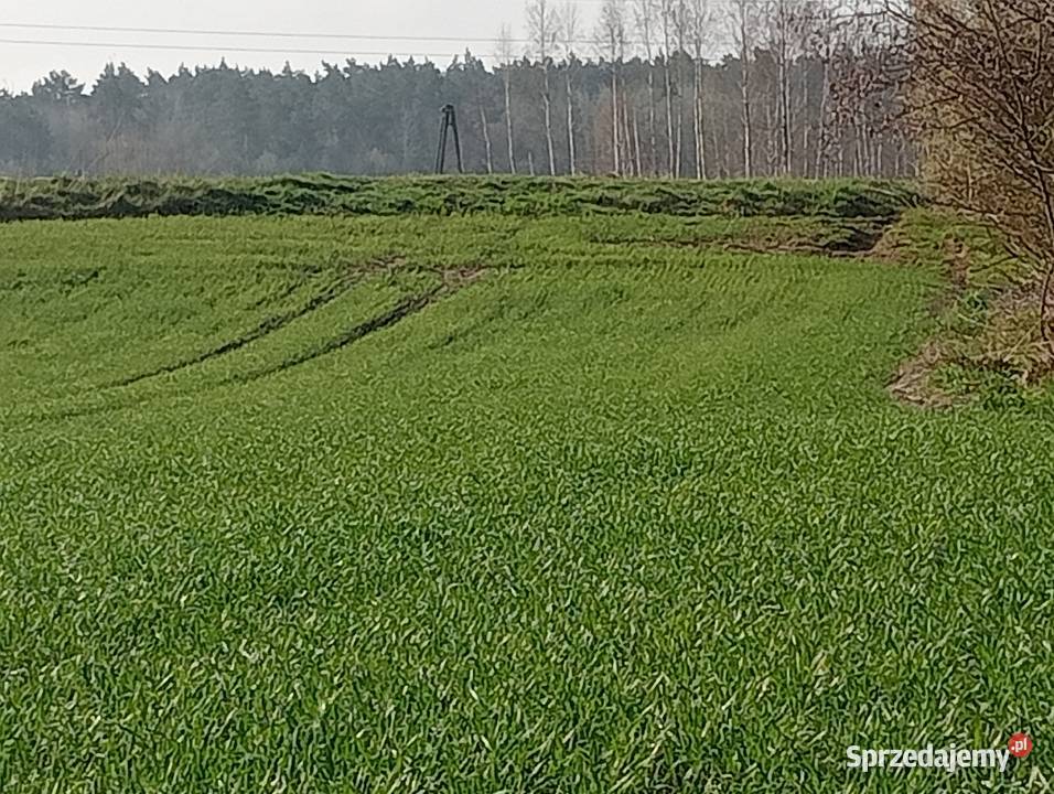 Sprzedam działkę siedliskowa 3000m2 lubelskie Chełm