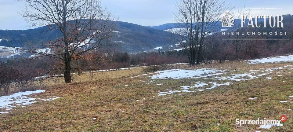 Działka budowlana 107 ha Siary gm Sękowa Sprzedaż małopolskie sprzedam