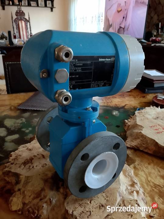 Endress Hauser sprzedam