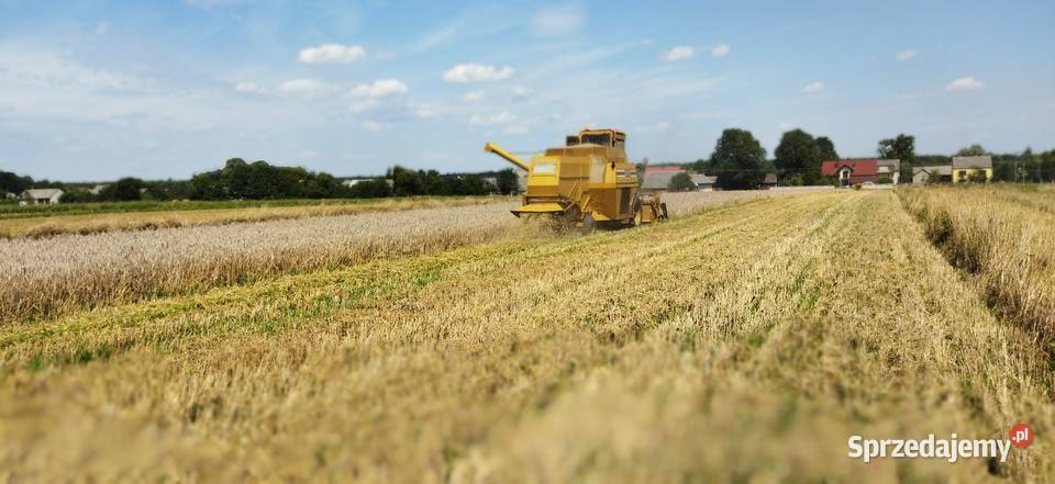 Kombajn zbożowy Sampo 500 nieuszkodzony Włoszczowa sprzedam