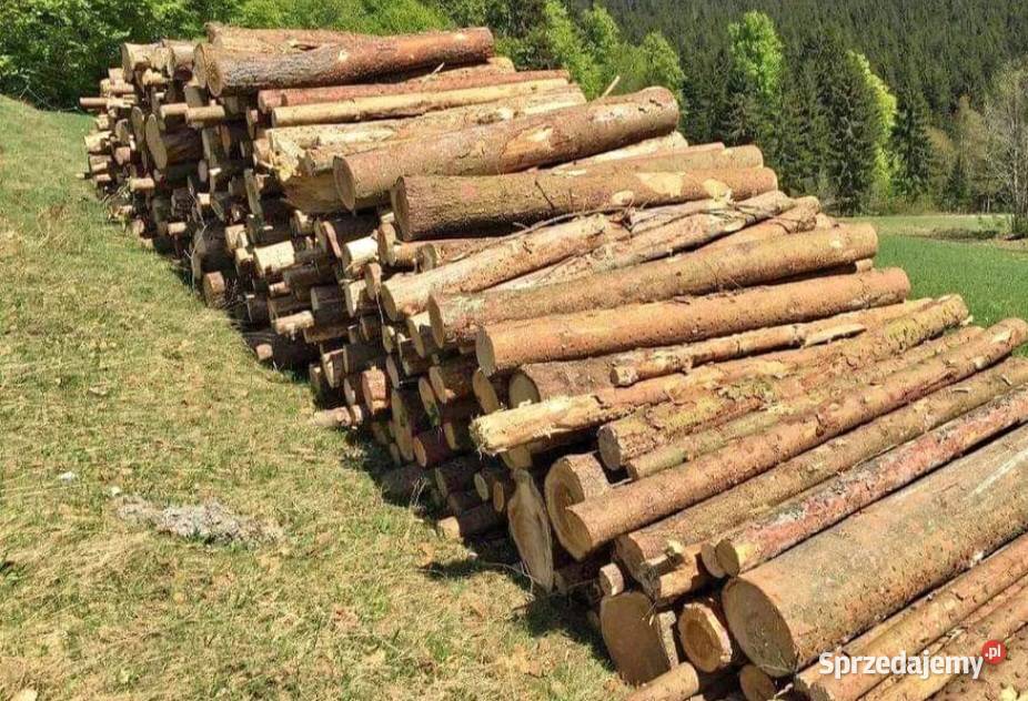 Drewno opałowe kominkowe ż ywiec i Opał śląskie Żywiec
