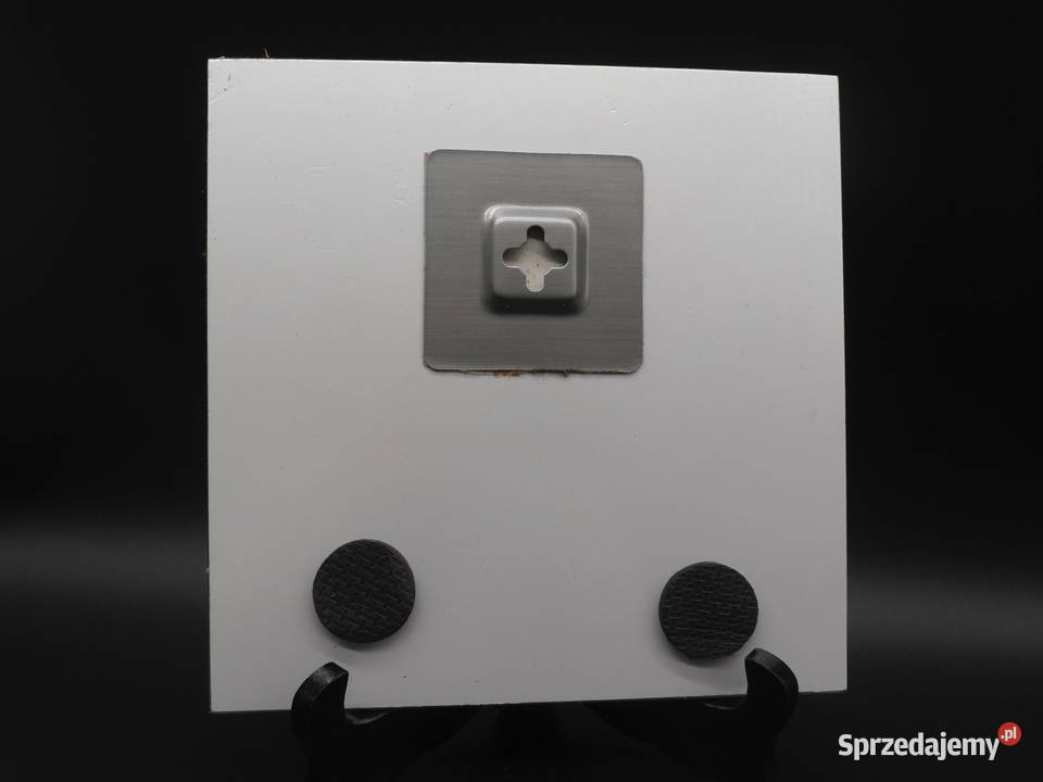 Obrazek na szkle przedstawia parę małych kotów wielkopolskie Raszków sprzedam