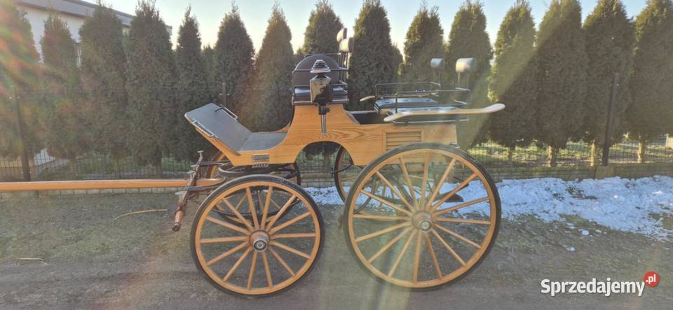 Bryczka konna wielkopolskie Konin