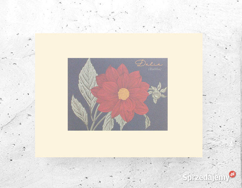 botaniczny plakat retro vintage obrazek z Białystok