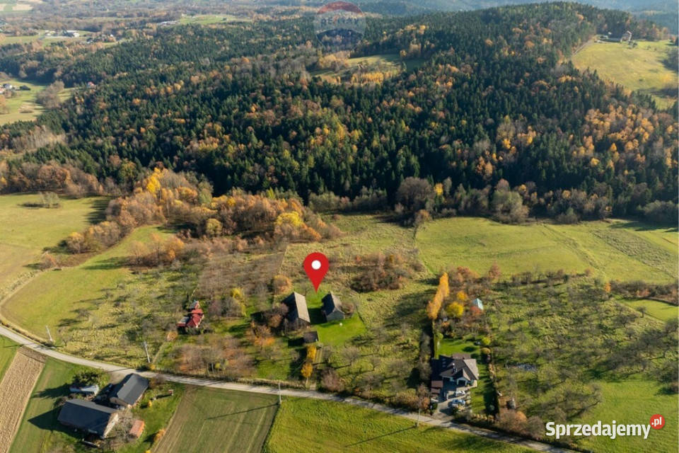 Siedlisko na sprzedaż gmina Jodłownik Sprzedaż Krasne-Lasocice