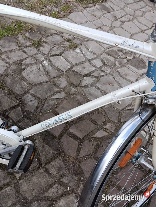 Damka Pegasus okazja Miejskie Seroczyn