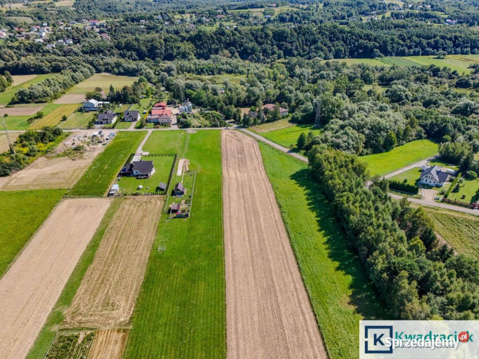 Działka Dębowiec 3779m2 sprzedam