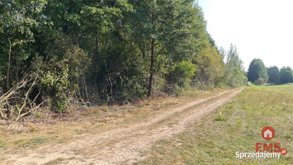 Działka na sprzedaż 5100m2 Ciasne