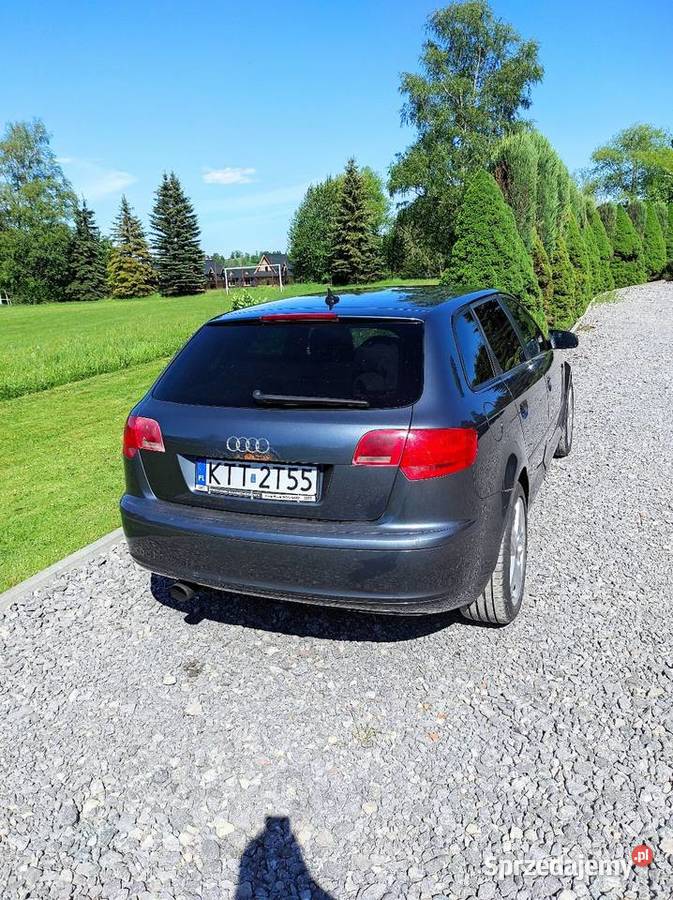 Audi a3 8p 20tdi quattro Zakopane