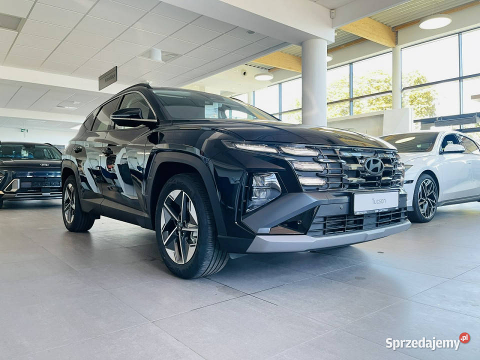 Hyundai Tucson 16 TGDI HEV 6AT 2WD 215 Executive łódzkie Piotrków Trybunalski