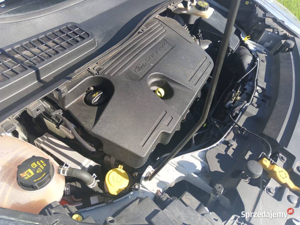 Ford Kuga Leszno