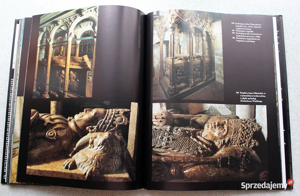 Nekropolie Adam Bujak historia, archeologia sprzedam