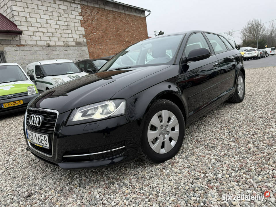 Audi A3 Sportback Audi A3 Lift 16Tdi 2012r Xenon A3 Sokołów Podlaski