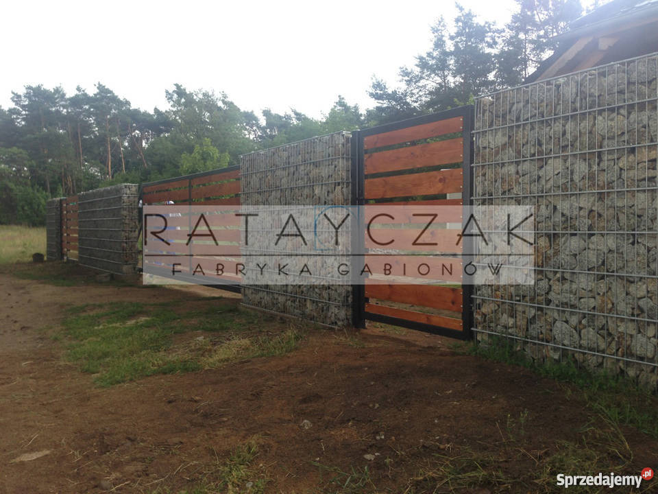 Ogrodzenie gabionowe gabiony gabion ogrodzenie Koszalin