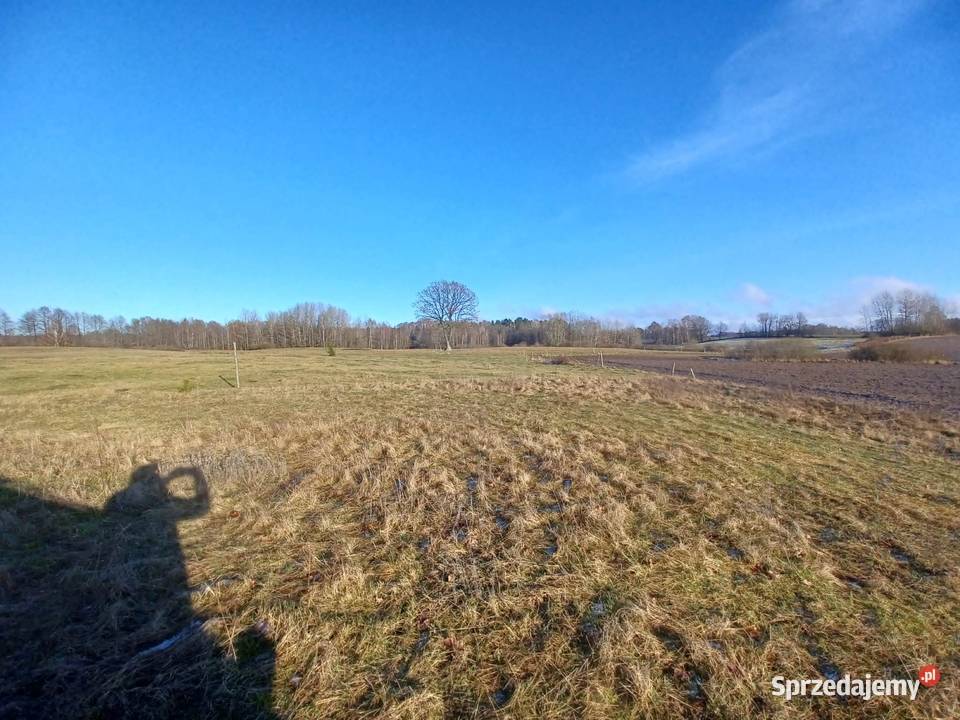 Działka budowlana 71zł/m2 Kołtki