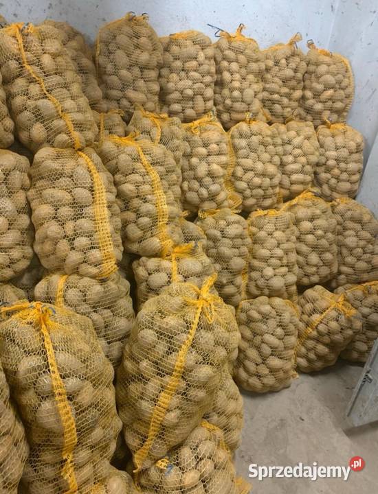 Sprzedam ziemniaki jadalne i sadzeniaki Soraya Pawłokoma