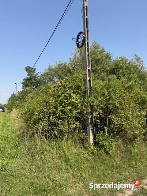 Działka budowlana 1100 m Zarzęcin prąd działce polna Sprzedaż
