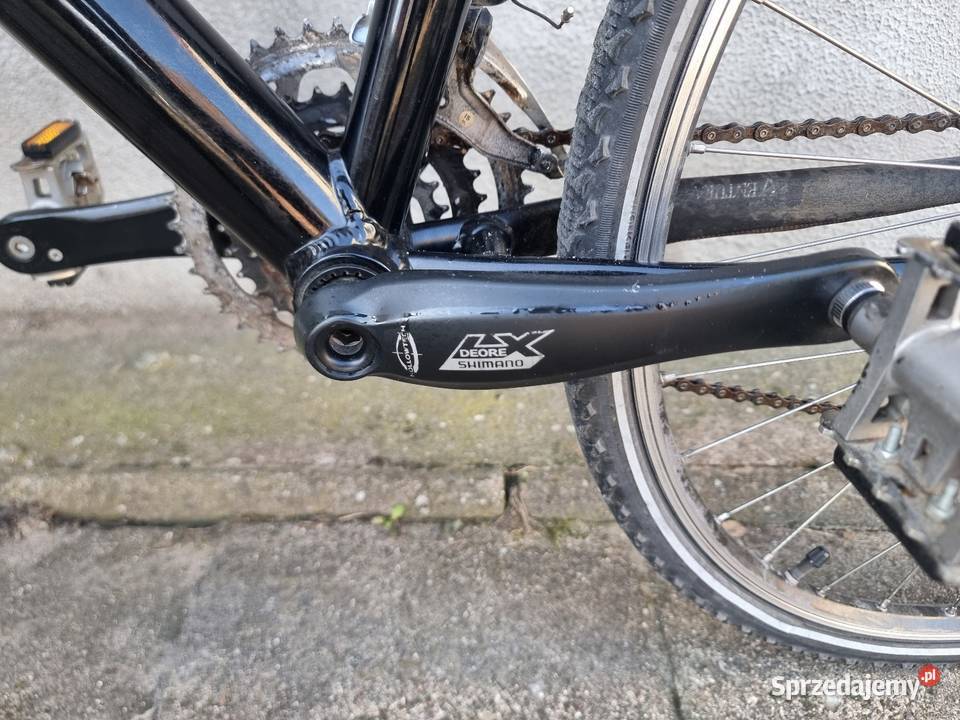 Rower treningowy LiBike Dębno