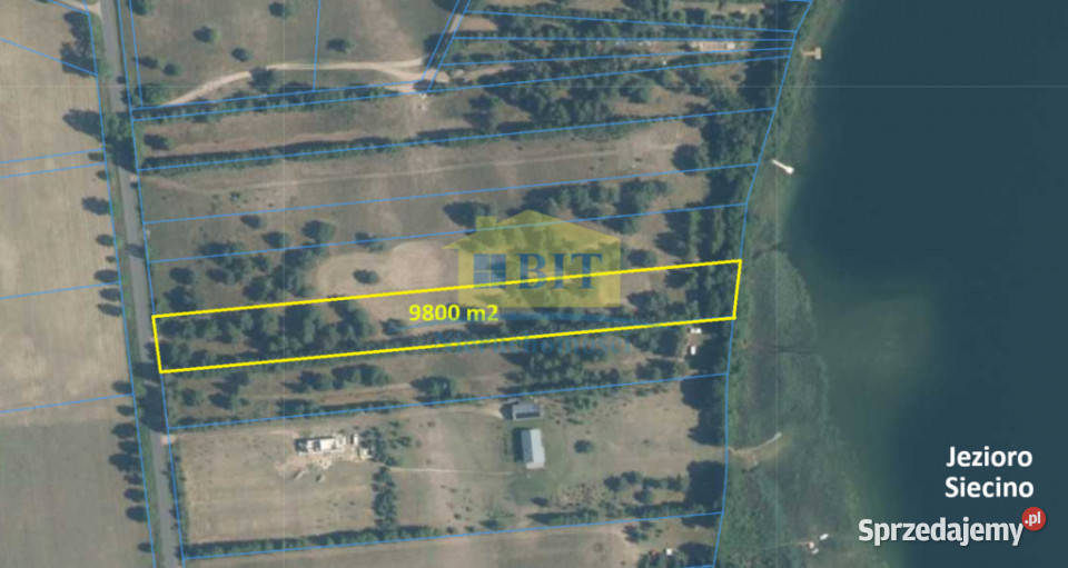 Działka 9800m2 z dostępem do Jeziora Siecino