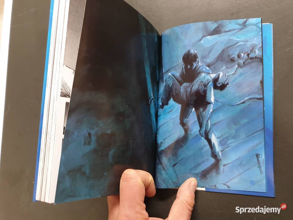 Blue Heaven Manga Książki i Podręczniki