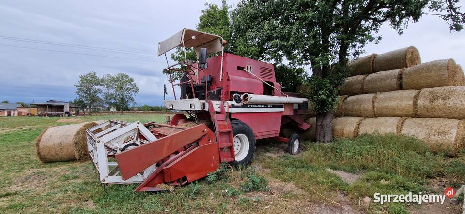 Kombajn zbożowy international 923 Zbożowe sprzedam