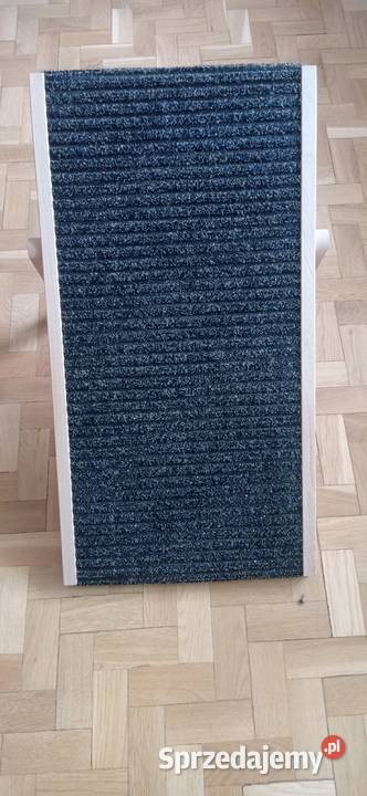 Rampa Psa Poznań