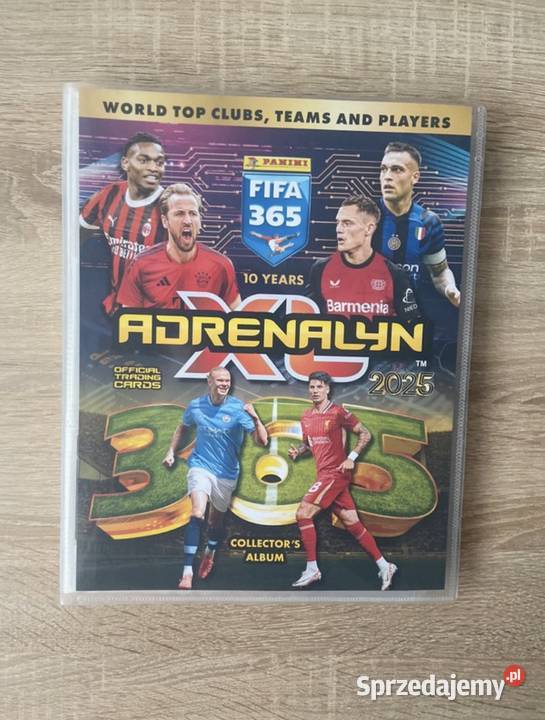 Karty FIFA 365 2025 Janowiec Wielkopolski