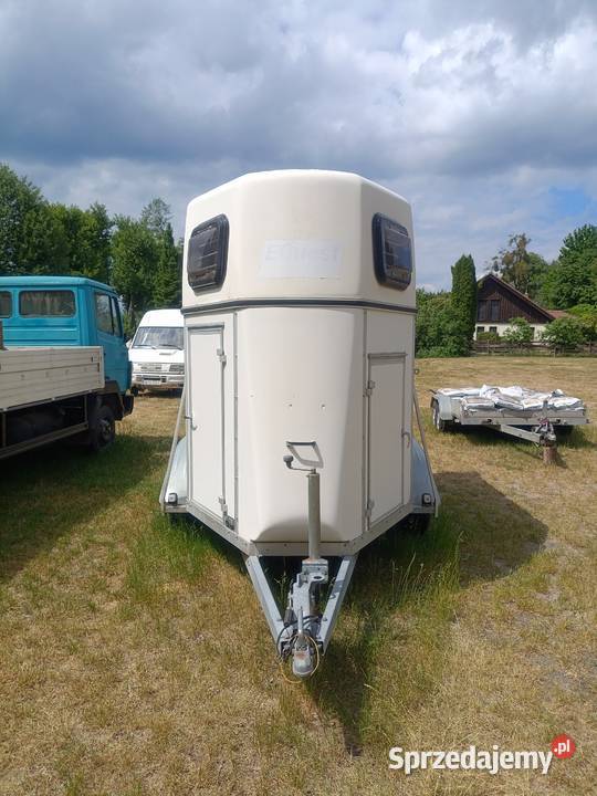 Dwuosiowa przyczepa koni Blomert 2012r Stan Pelnik
