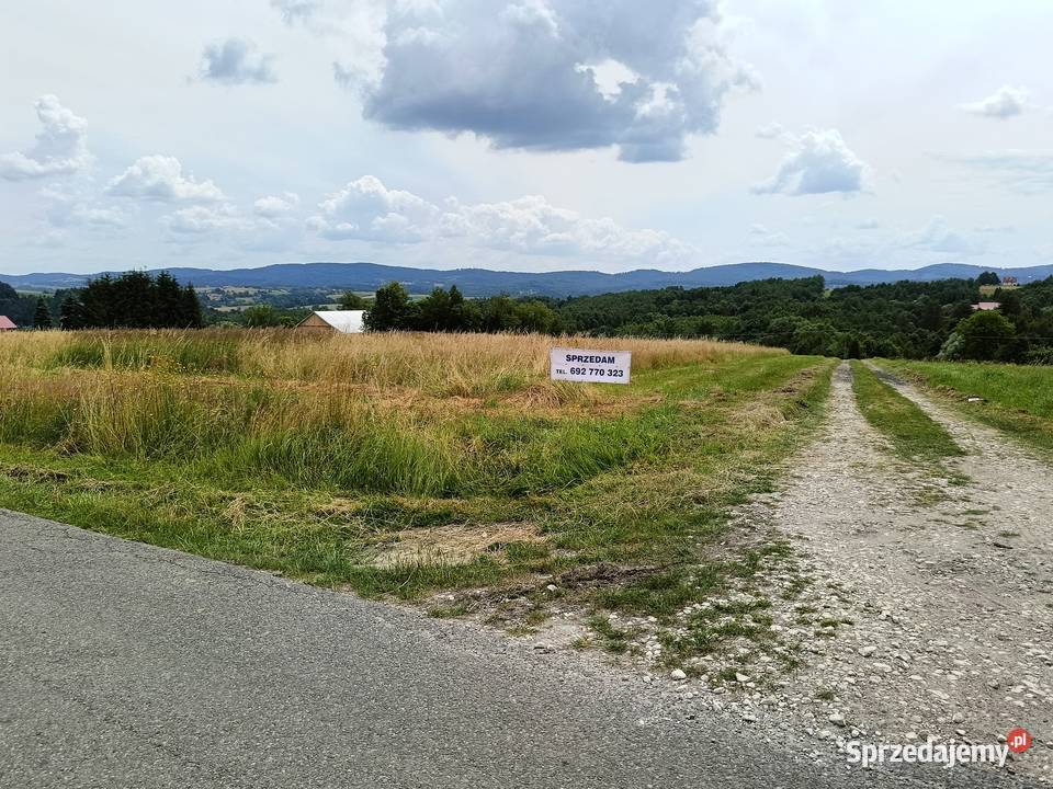 Działka budowlano inwestycyjna w Ryglicach Sprzedaż