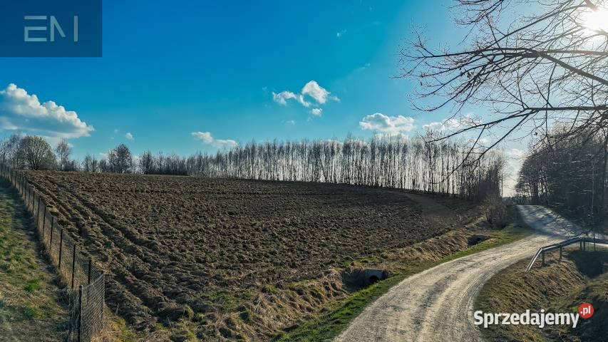 Działka 1765m2 Tyczyn 60m